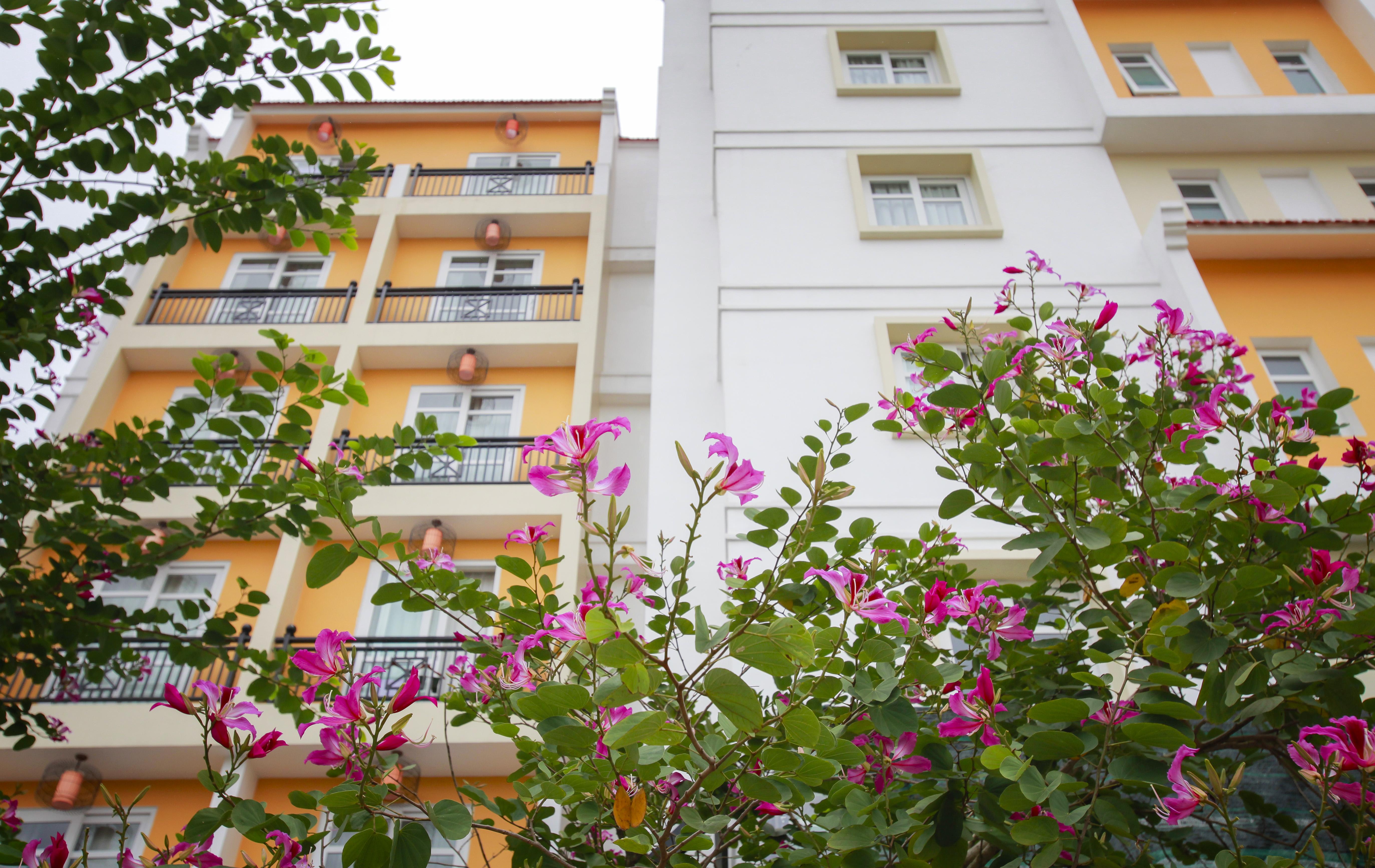 Royal Riverside Hoi An Hotel & Spa Bagian luar foto